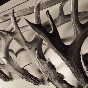 Meet your Posher, Jimmy